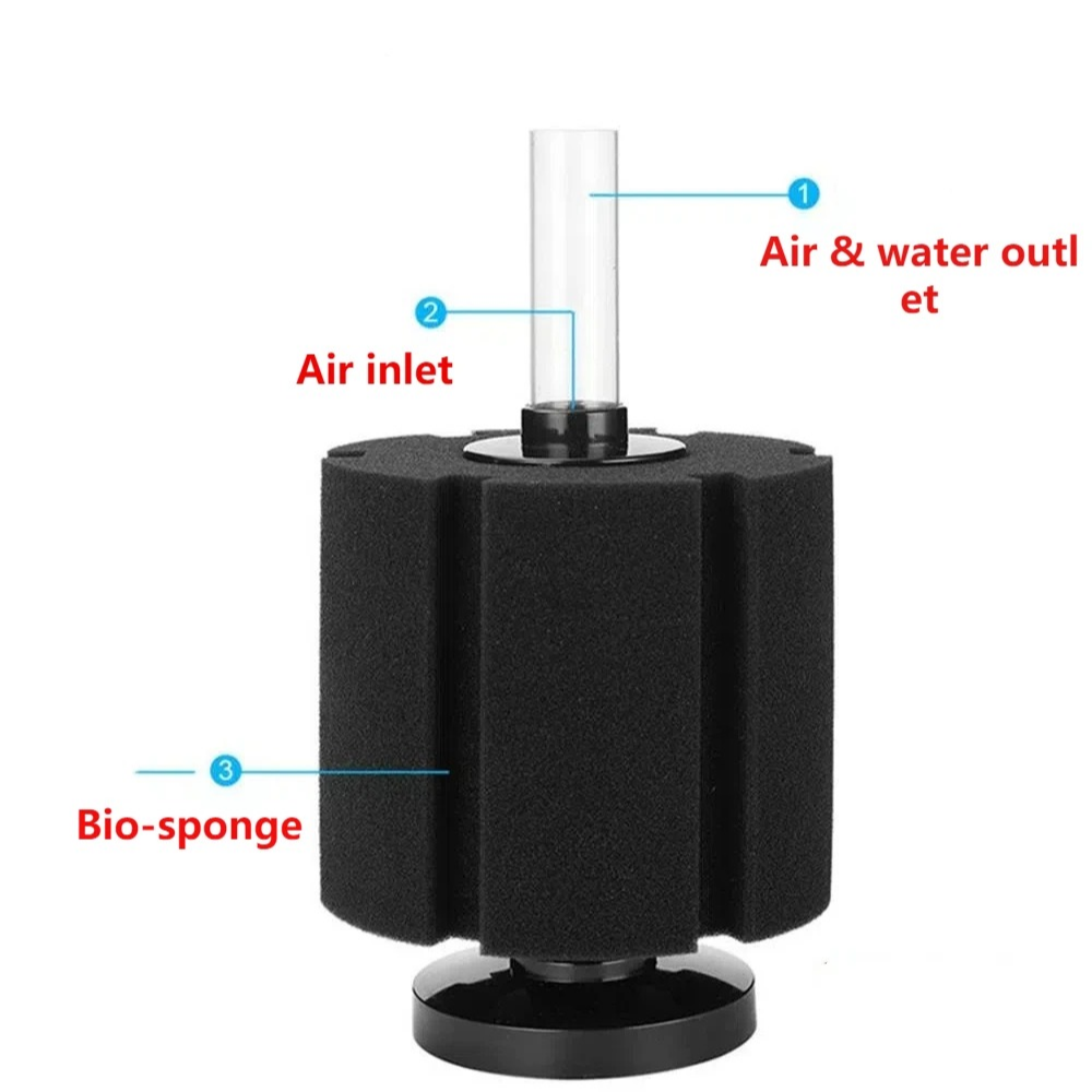 ฟองน้ำกรองตู้ปลา สำหรับปั๊มลมต - Aquael Filter Fzn บทวิจารณ์และราคา