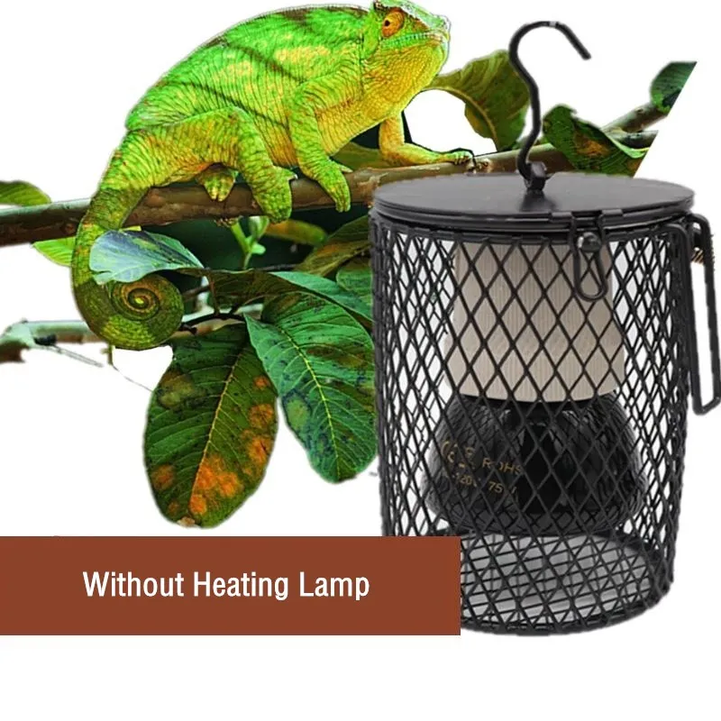 หลอดไฟให้ความร้อนสำหรับสัตว์เล - Ceramic Heat Emitter บทวิจารณ์และราคา